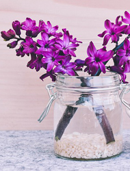 不占内存的ddos页端