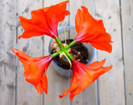 靠谱的购买网站推荐的ddos页端